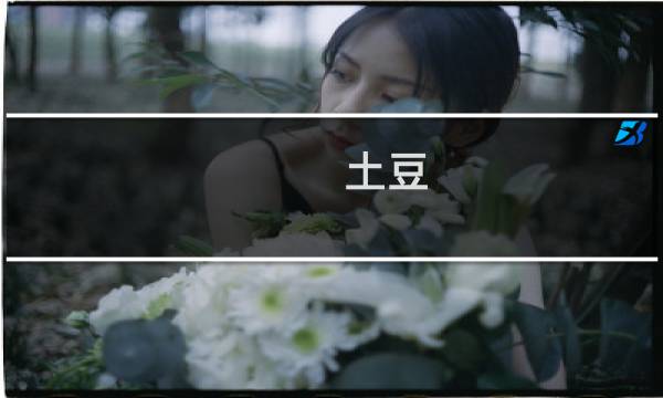 土豆 武器 攻略