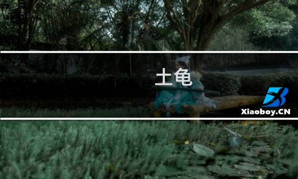 土龟 攻略