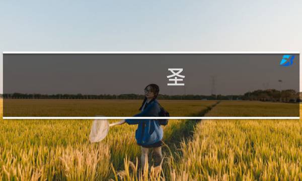 圣  攻略