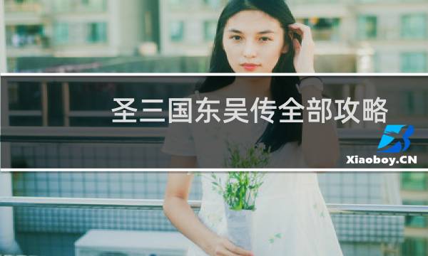 圣三国东吴传全部攻略