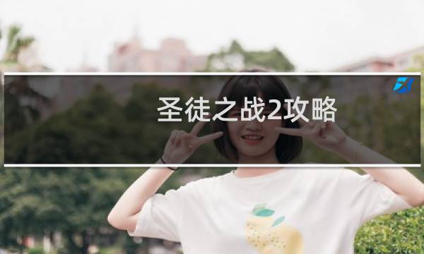 圣徒之战2攻略