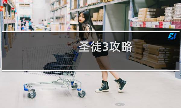 圣徒3攻略