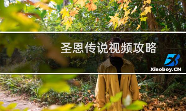 圣恩传说视频攻略