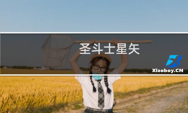 圣斗士星矢 手游 攻略