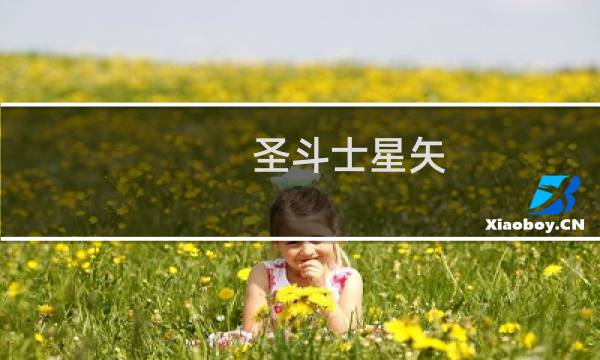 圣斗士星矢 攻略
