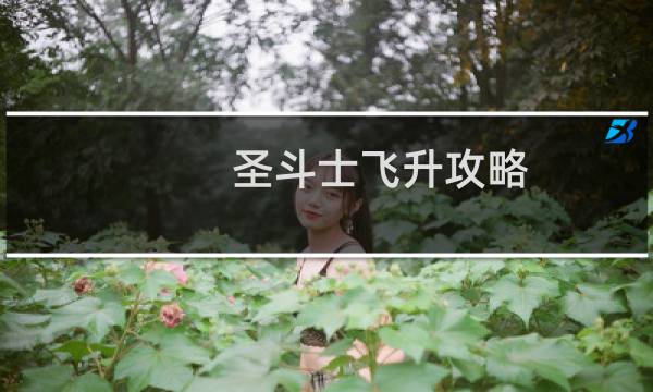 圣斗士飞升攻略