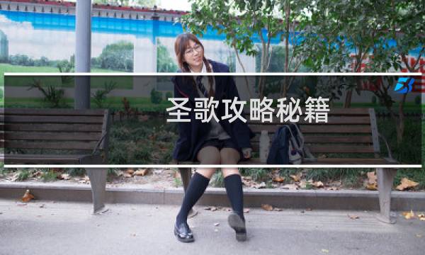 圣歌攻略秘籍
