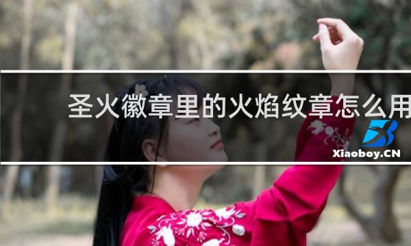圣火徽章里的火焰纹章怎么用