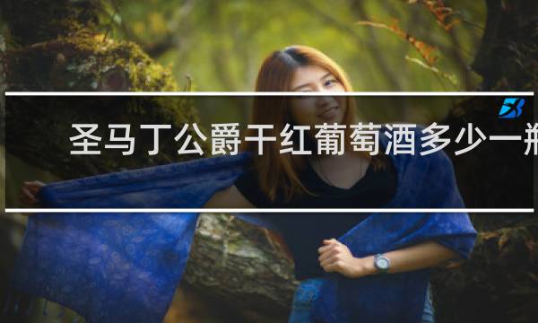 圣马丁公爵干红葡萄酒多少一瓶