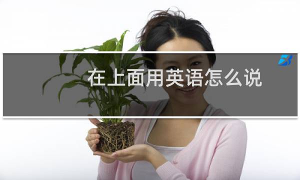 在上面用英语怎么说