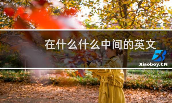 在什么什么中间的英文