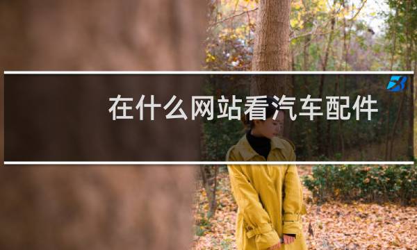 在什么网站看汽车配件