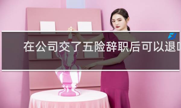 在公司交了五险辞职后可以退吗