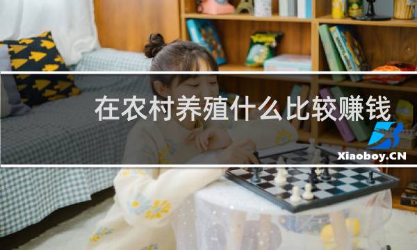 在农村养殖什么比较赚钱