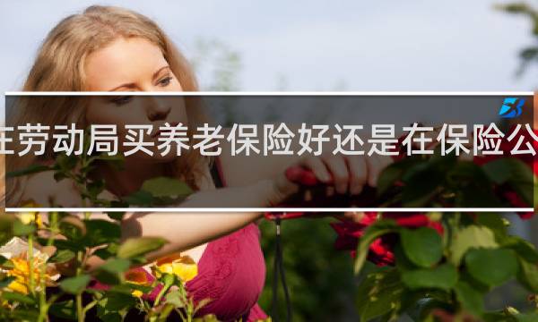 在劳动局买养老保险好还是在保险公司买好