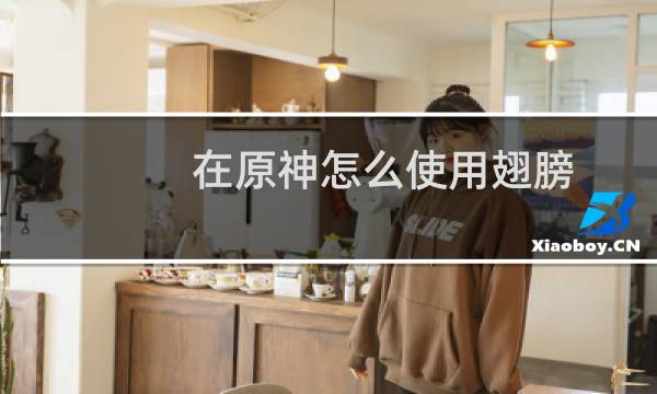 在原神怎么使用翅膀