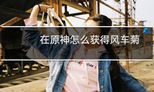 在原神怎么获得风车菊