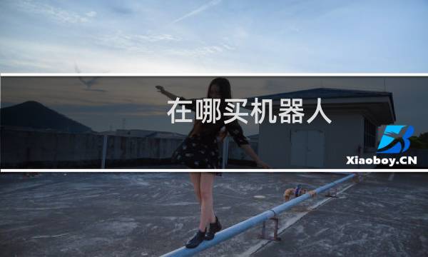 在哪买机器人