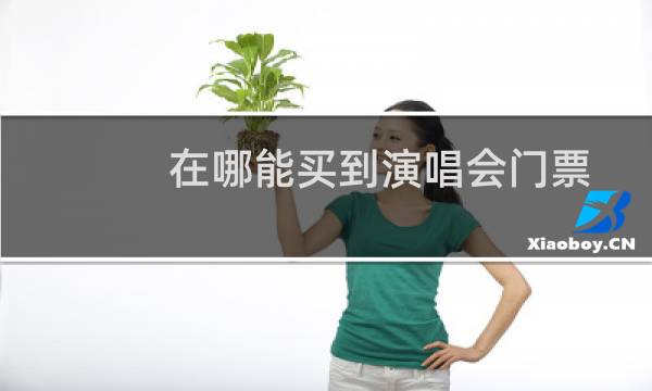 在哪能买到演唱会门票