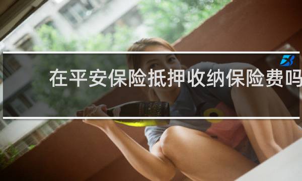 在平安保险抵押收纳保险费吗