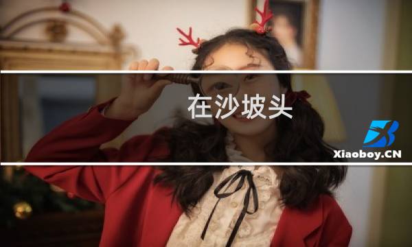 在沙坡頭