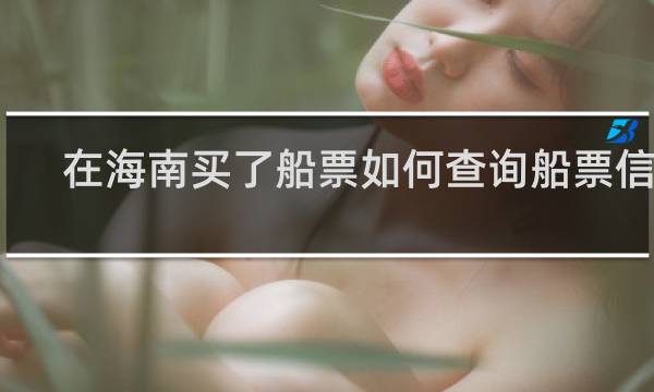 在海南买了船票如何查询船票信息