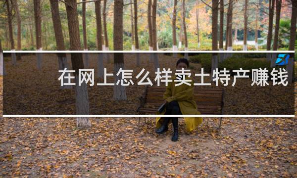 在网上怎么样卖土特产赚钱