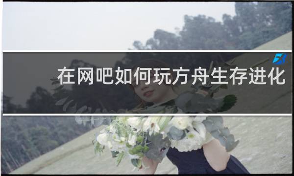 在网吧如何玩方舟生存进化