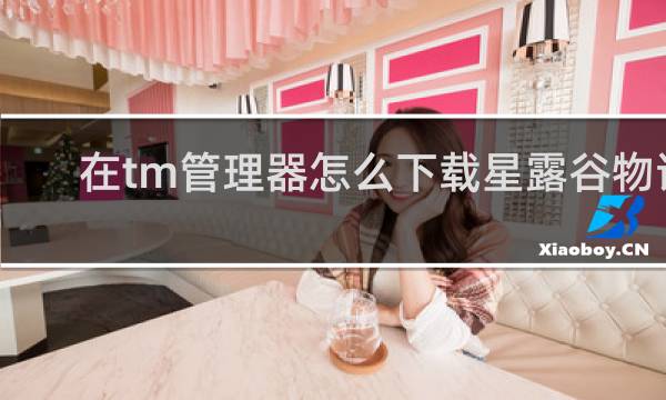 在tm管理器怎么下载星露谷物语