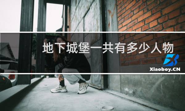 地下城堡一共有多少人物