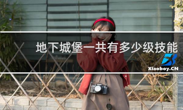 地下城堡一共有多少级技能