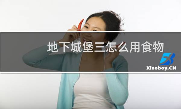 地下城堡三怎么用食物