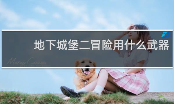 地下城堡二冒险用什么武器