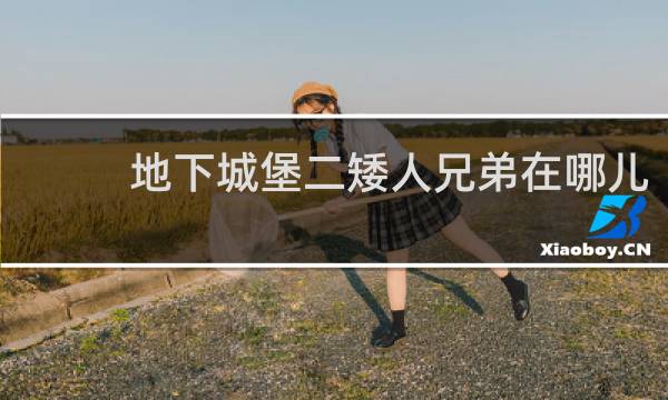 地下城堡二矮人兄弟在哪儿
