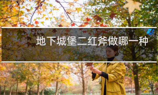 地下城堡二红斧做哪一种