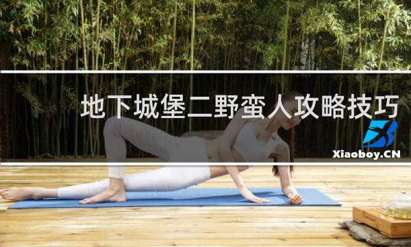 地下城堡二野蛮人攻略技巧