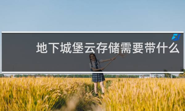 地下城堡云存储需要带什么