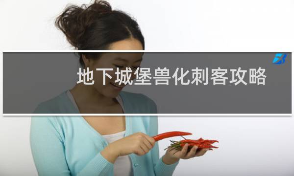 地下城堡兽化刺客攻略