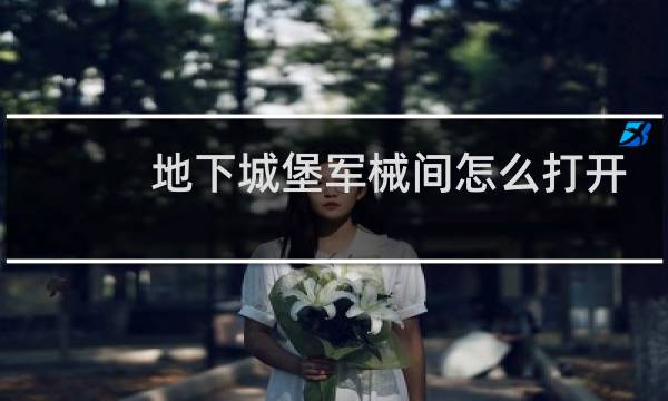 地下城堡军械间怎么打开