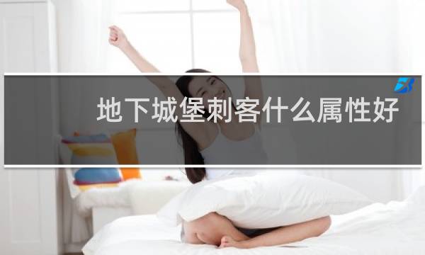 地下城堡刺客什么属性好