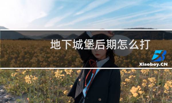 地下城堡后期怎么打
