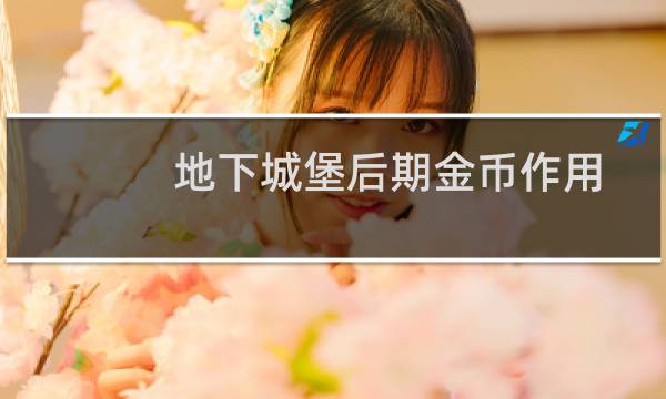 地下城堡后期金币作用