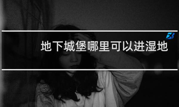 地下城堡哪里可以进湿地