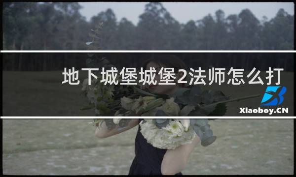 地下城堡城堡2法师怎么打