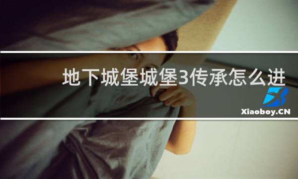 地下城堡城堡3传承怎么进