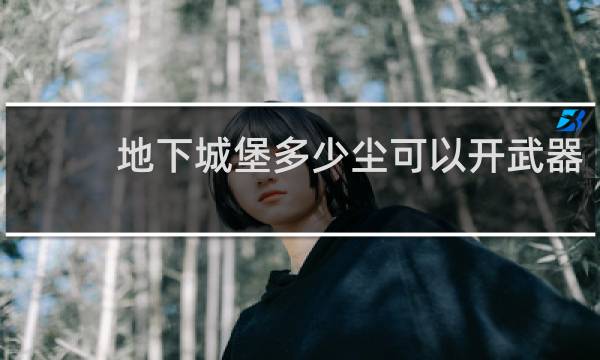 地下城堡多少尘可以开武器