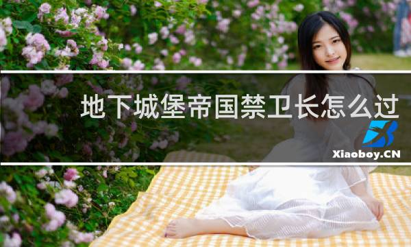 地下城堡帝国禁卫长怎么过