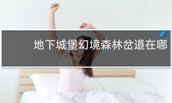 地下城堡幻境森林岔道在哪