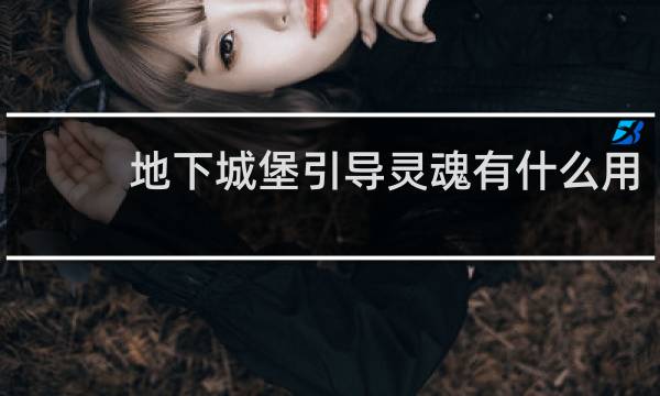 地下城堡引导灵魂有什么用