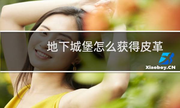 地下城堡怎么获得皮革